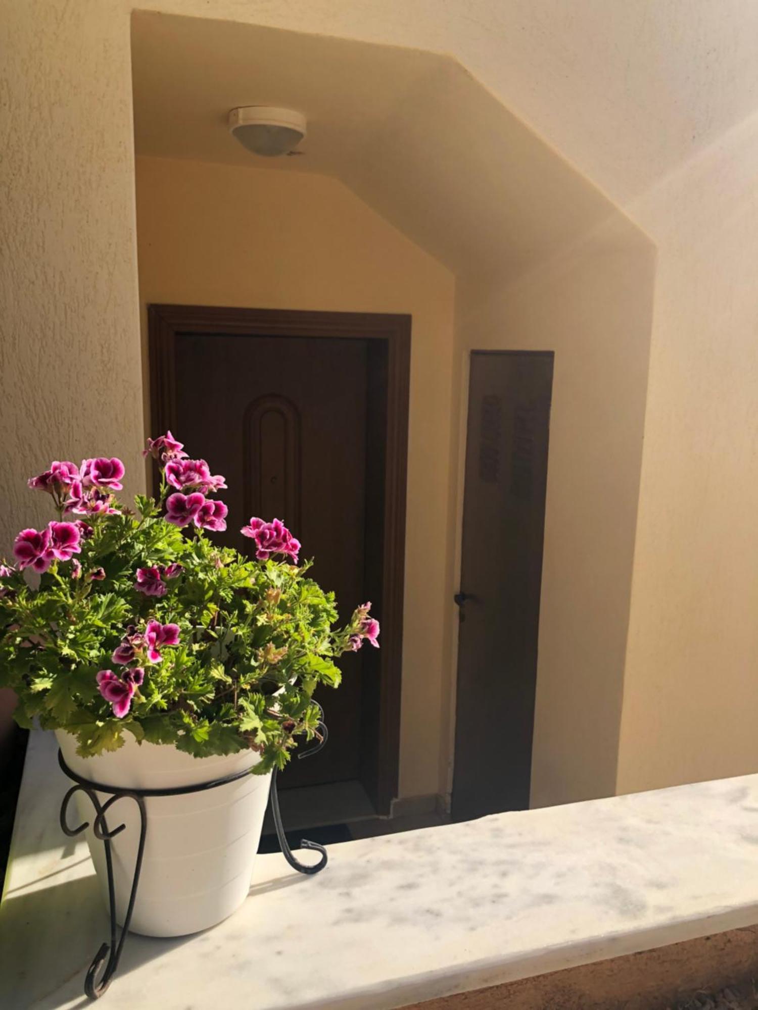 Artemis House Daire Dış mekan fotoğraf